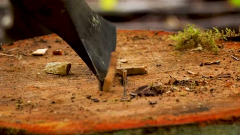 close up of axe chopping firewood in a rainforest in bc