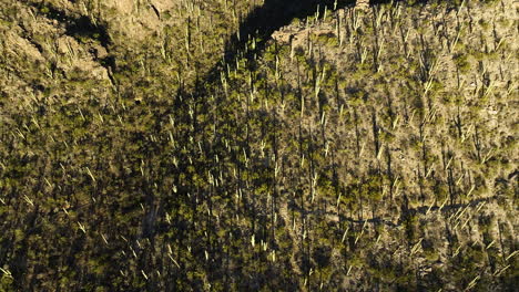 Moody-drone-footage-with-dramatic-shadows-on-mountains