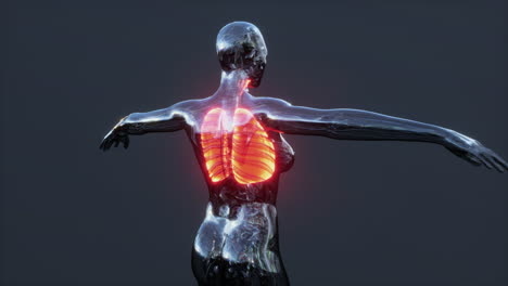 x-ray image of human lungs for a medical coronavirus covid-19 diagnosis