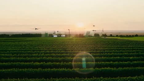 estructura de vidrio moderna en un campo al atardecer