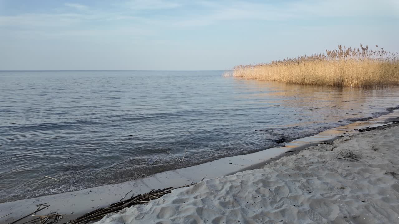 Peaceful view of a reed-lined sandy shore with calm coastal waters, showcasing the natural beauty of Ria Formosa, Faro, Portugal. The serene scene is perfect for relaxation