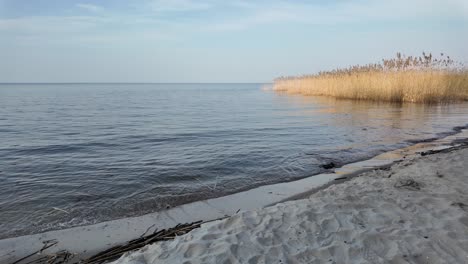 peaceful view of a reed-lined sandy shore with calm coastal waters, showcasing the natural beauty of ria formosa, faro, portugal. the serene scene is perfect for relaxation