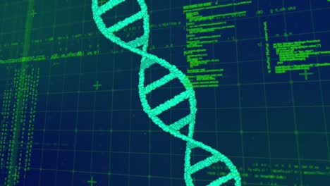 Animation-of-dna-strand-spinning-and-medical-data-processing