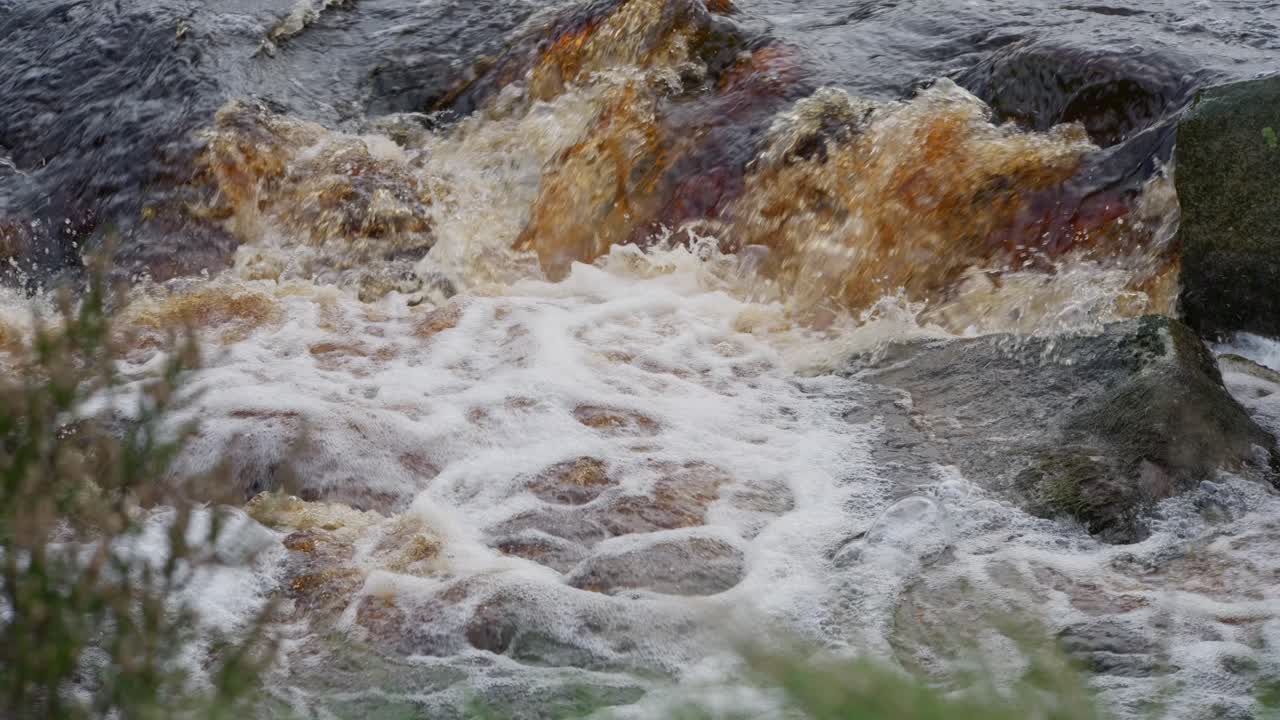 Calm autumn-winter woodland with a gentle stream flowing over rocks, producing small waterfalls