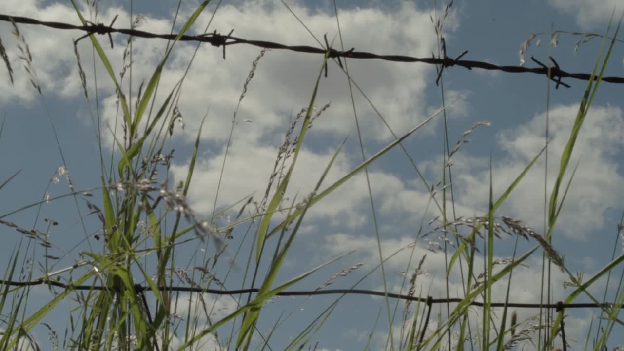 철조망 울타리를 통해 cloudscape 보기