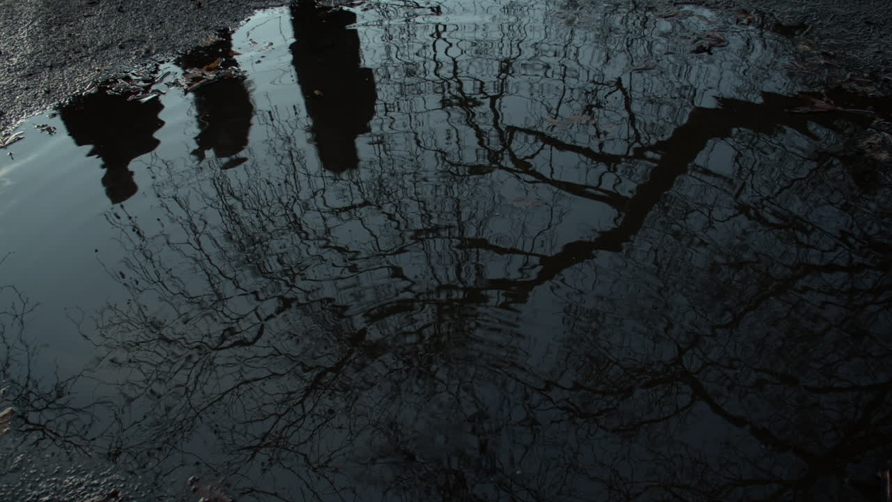 Dark water ripples with reflection of people walking past and tree