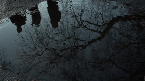 dark water ripples with reflection of people walking past and tree