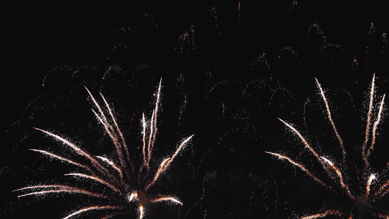 Majestic fireworks lighting the sky with colorful explosive bursts