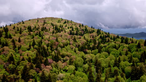 cinematic drone flyover of smoky mountains blanketed in mist, fog, and soft rain