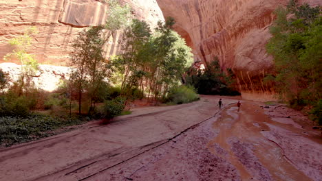 Wandern-Durch-Coyote-Gulch-Im-Grand-Staircase-Escalante