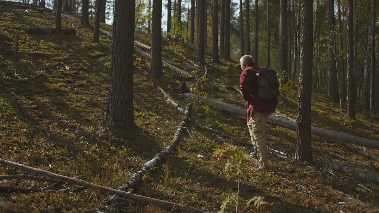 el hombre está perdido en el bosque el recolector de hongos o el excursionista está caminando solo entre los árboles altos encontrando el camino peligro de viajar solo en el bosque