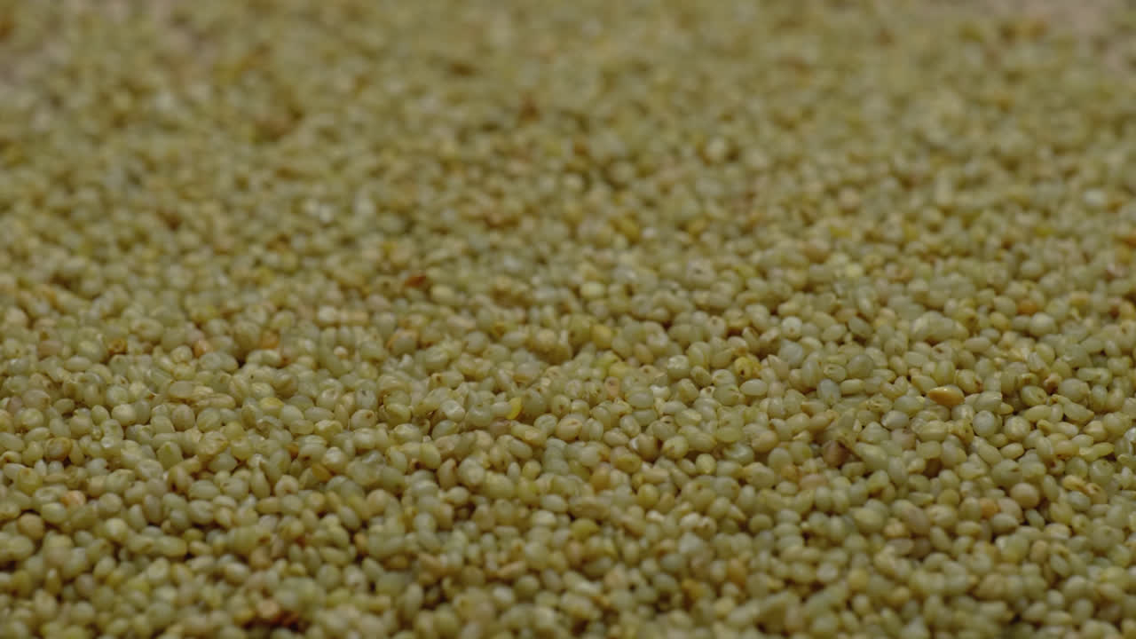 brown top millet grains close up, parallax shot, 4k