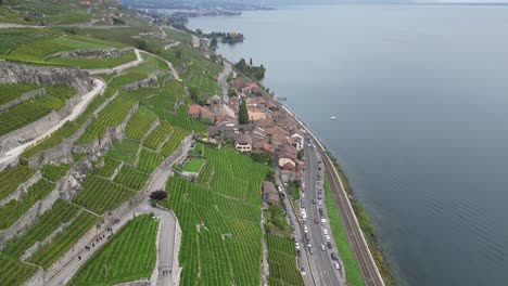 Vista-Aérea-Inclinada-Hacia-Arriba-De-Los-Viñedos-De-Lavaux-Y-El-Lago-De-Ginebra-Cuesta-Abajo,-Suiza,-Vaud