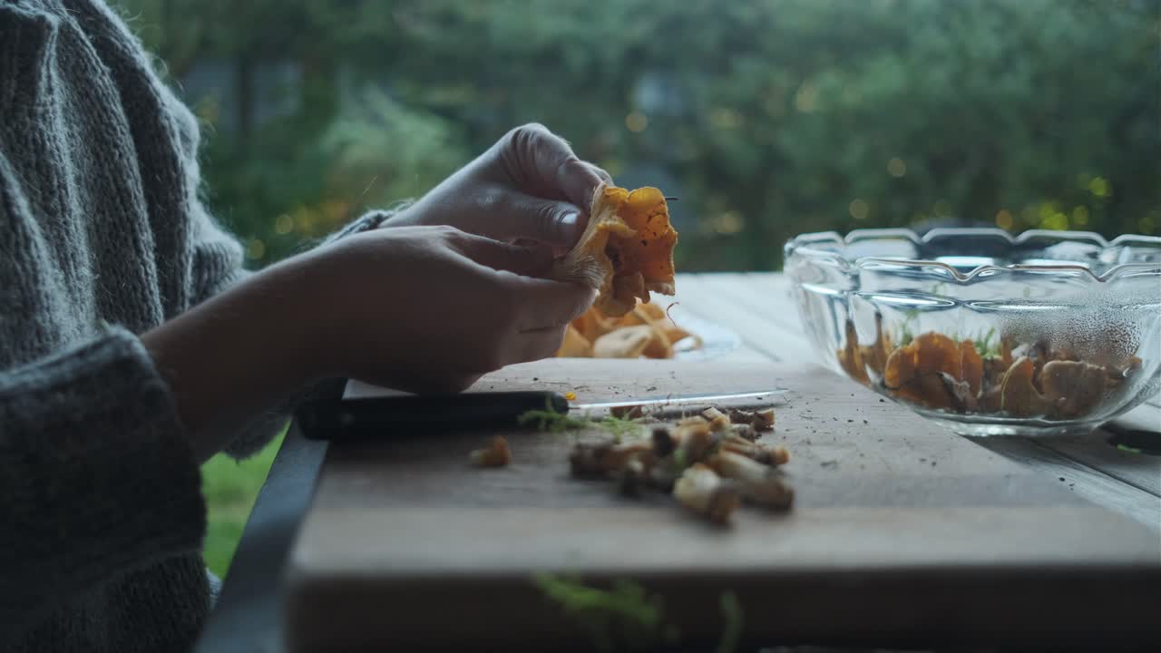 manos femeninas limpiando hongos chanterelle dorados en la tabla de madera afuera