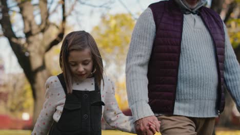 caucasian little girl walking with grandfather in the park