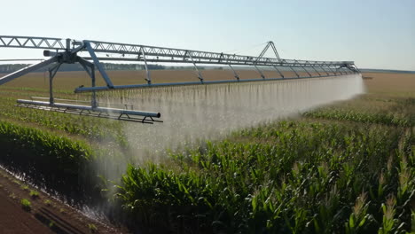large-scale pivot irrigation system watering a vast agricultural field