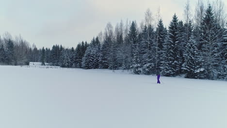 Person-cross-country-skiing-through-a-winter-wonderland-with-snow-capped-forest