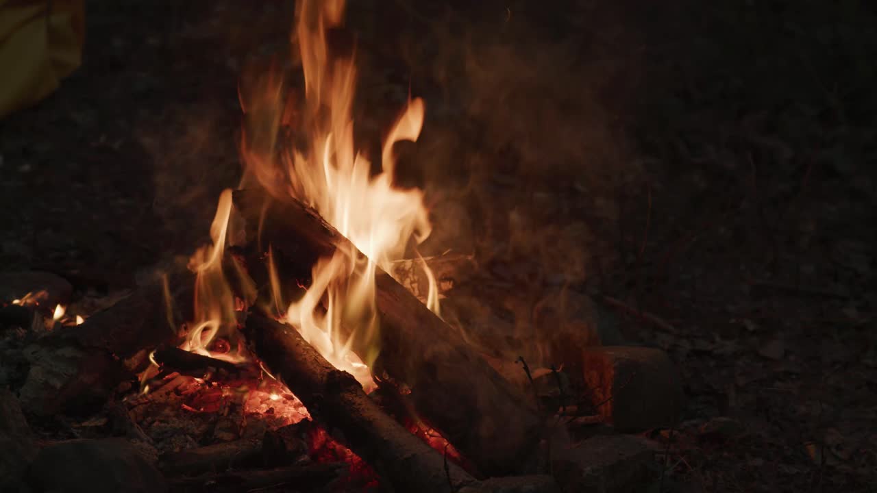 fuego crujiendo en el bosque
