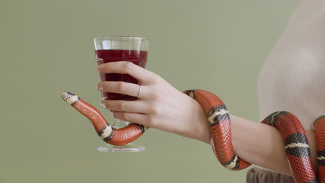 side view of an unrecognizable woman with snake wrapped around her arm holding a red wine glass on a green background