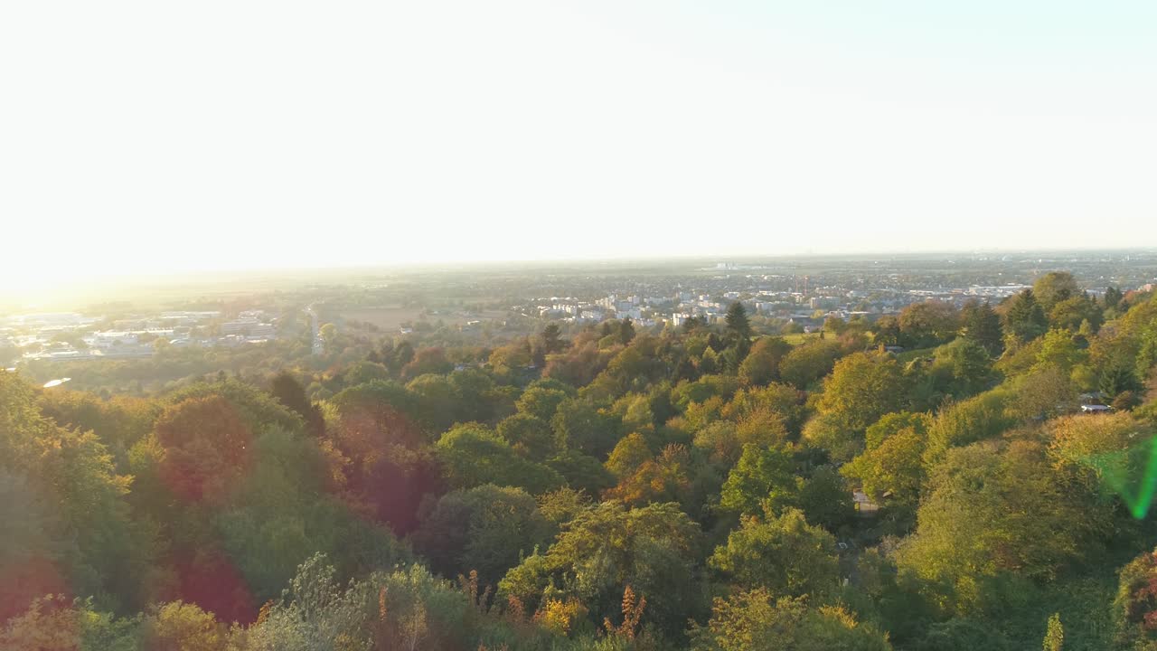 나무에 공중 드론 영상 도시