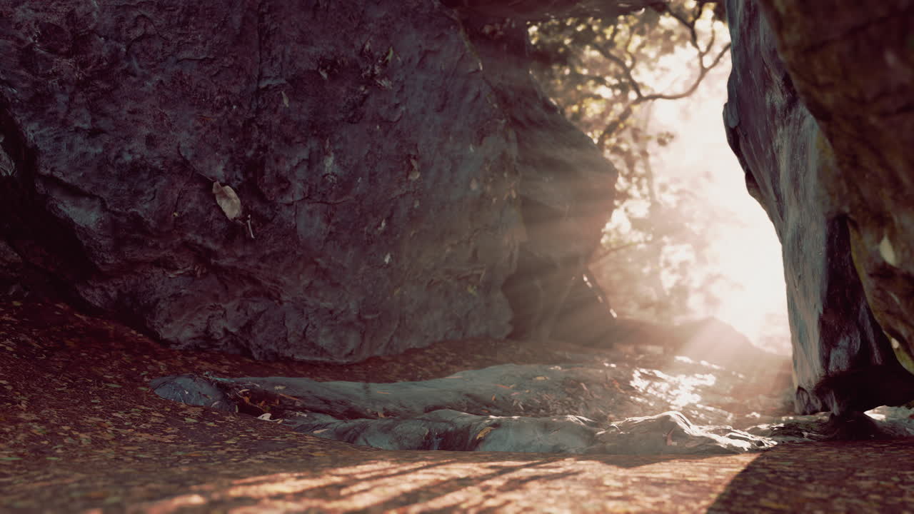 la luz del sol fluye a través de una cueva escondida en el bosque.