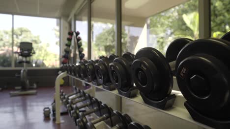 Gym Weights and Equipment