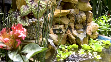 beautiful fountain decorated with ornamental plants and water plants