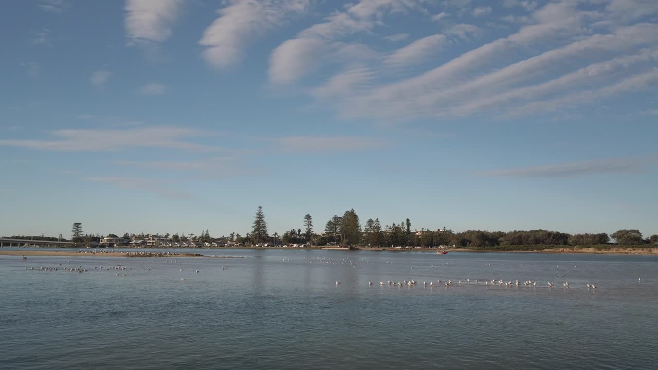 갈매기와 쾌속정이 지나가는 얕은 강이나 바다의 잔잔한 장면