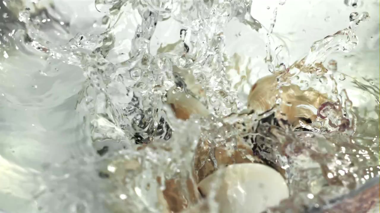 Vongole fresche che cadono nell'acqua al rallentatore
