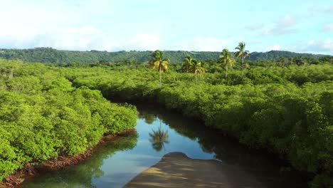 drone flying over tropical river with sand bank and dense forest and bushes