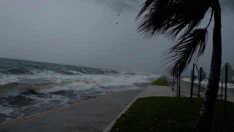 hurricane storm with coastal flooding