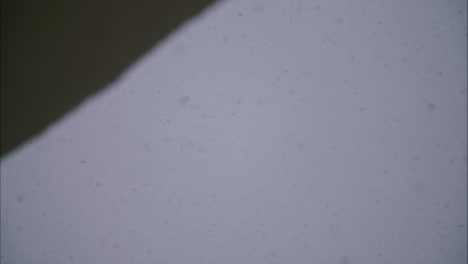 nieve cayendo en cámara lenta