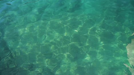 day shot of turquoise transparent amazing sea , exotic tropical sea view