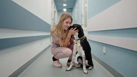 Happy-blonde-girl-plays-with-a-black-dog-in-the-corridor-of-a-veterinary-clinic-after-an-examination.-Black-and-white-dog-allows-itself-to-be-stroked