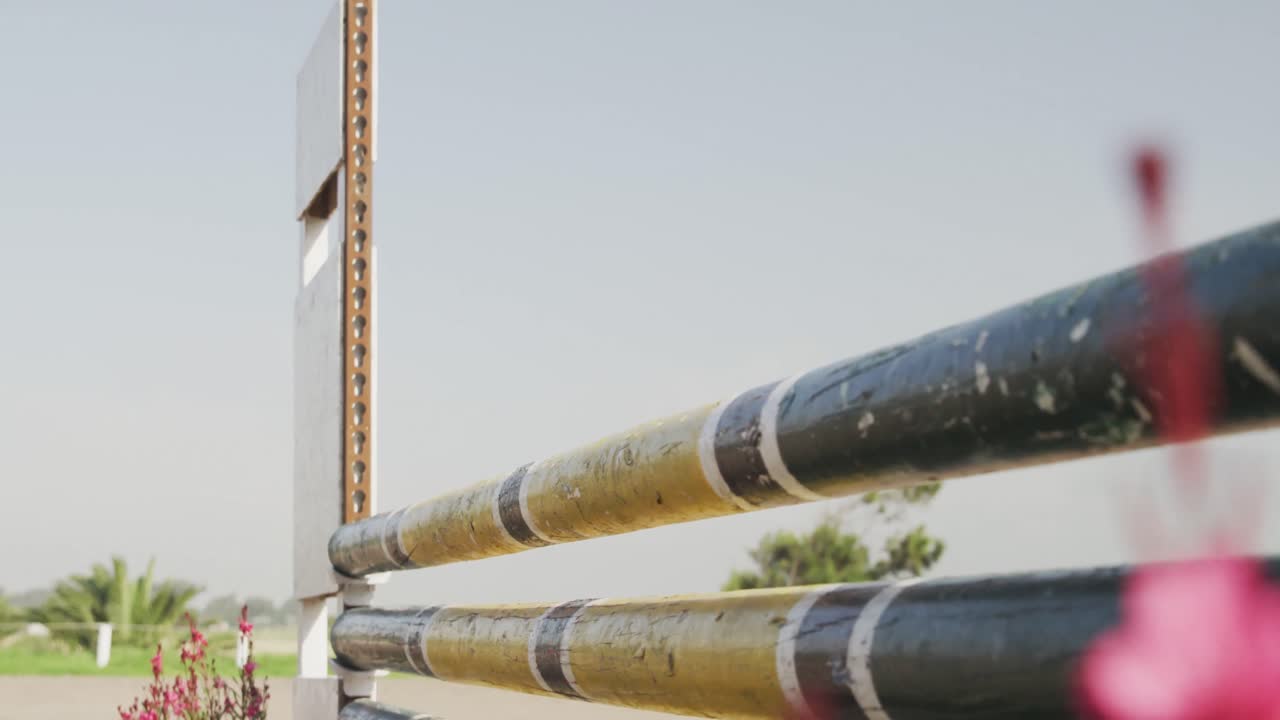 hombre afroamericano saltando un obstáculo con su caballo de doma