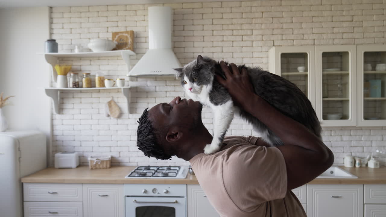 Pet owner with his cat at the kitchen