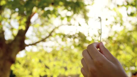 close up of hipster woman breathing out on the pollen