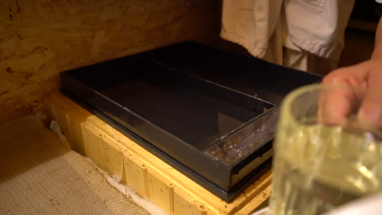 крупный план человека, разливающего сахарный сироп для кормления медоносных пчел