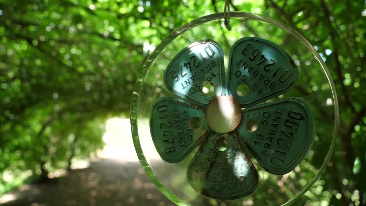 Ordainment hanging in a bush archway