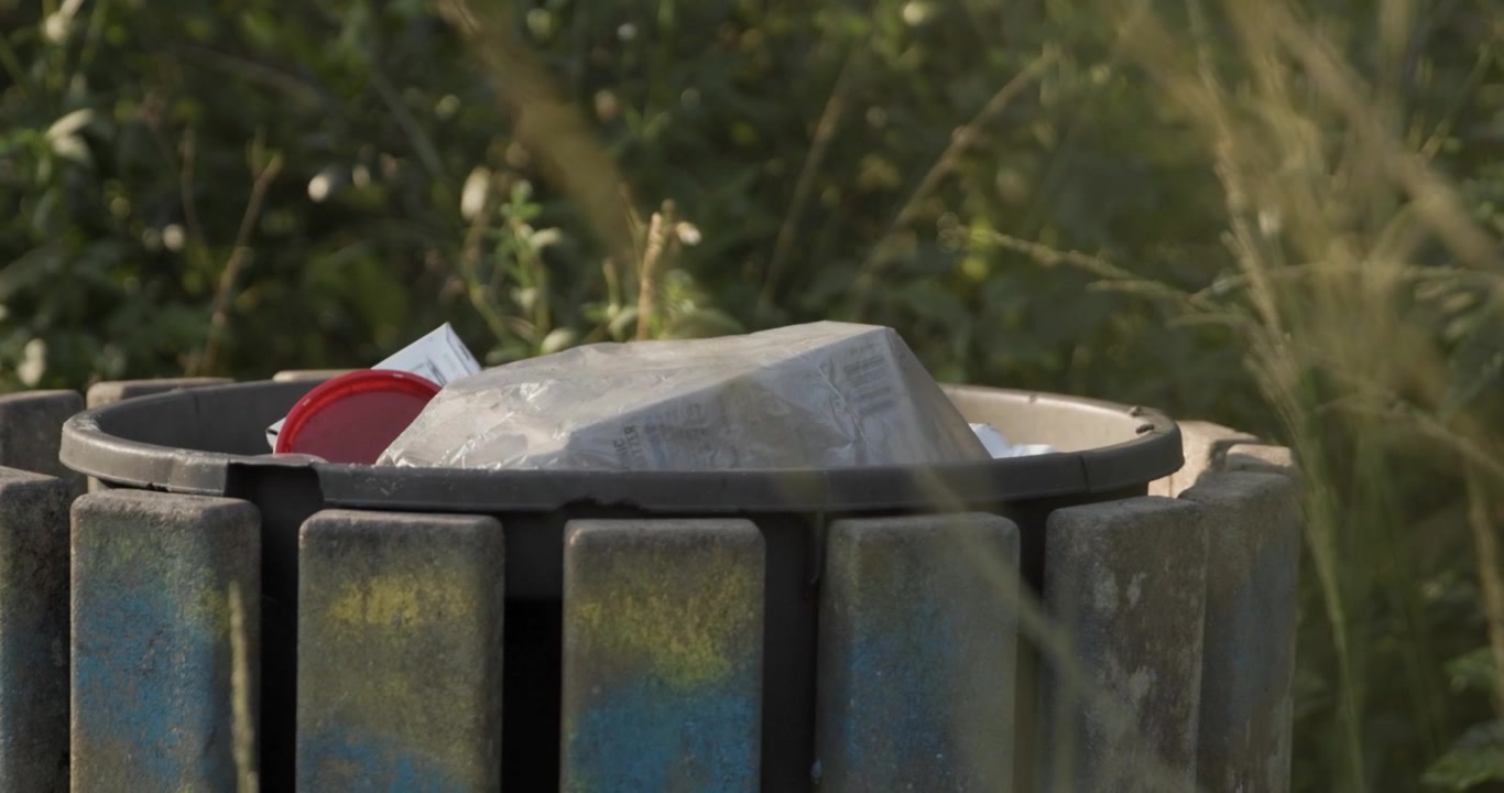 Tighter Handheld 4K cinematic shot of a park trash bin surrounded by lush Florida vegetation at sunset. Flies gather around the container, striking contrast between beauty and waste.