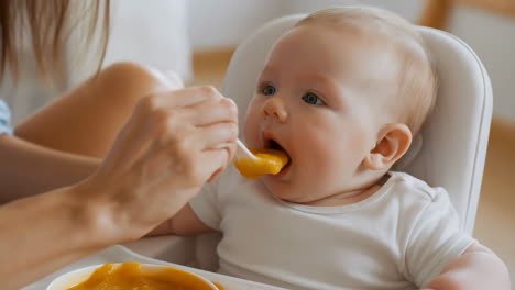 an adult feeding a baby in a high chair