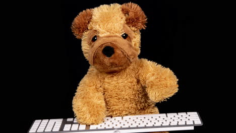 stuffed dog working on a keyboard