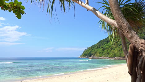 empty exotic beach,tropical sea and green rainforest on sunny day, slow motion