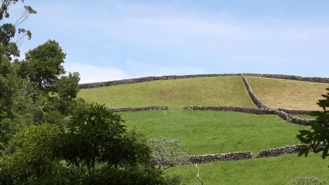 vasto campo montañoso con muros fronterizos en el parque das frechas en agualva, isla terceira, portugal