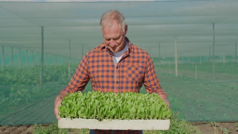 mature man working on farm