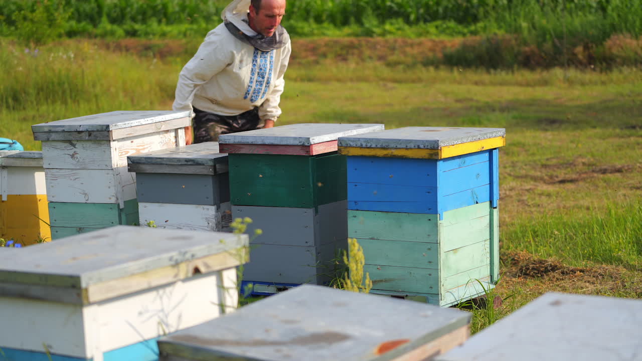 Male beekeeper is walking with wooden box among colorful hives. Protective clothes on a man. Apiary concept.
