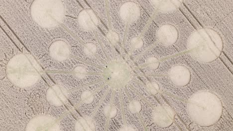 twisting overhead aerial view of intriguing crop circle in farm land