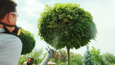 spray ecological pesticide. farmer fumigate in protective mask and glasses trees and bushes. man spraying toxic pesticides, pesticide, insecticides. gardener maintains a garden