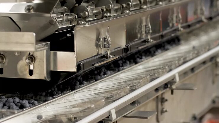 A Blueberry Processing and packaging Plant