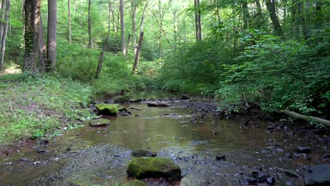 a small stream in the forested hills running over the rocks and around the boulders